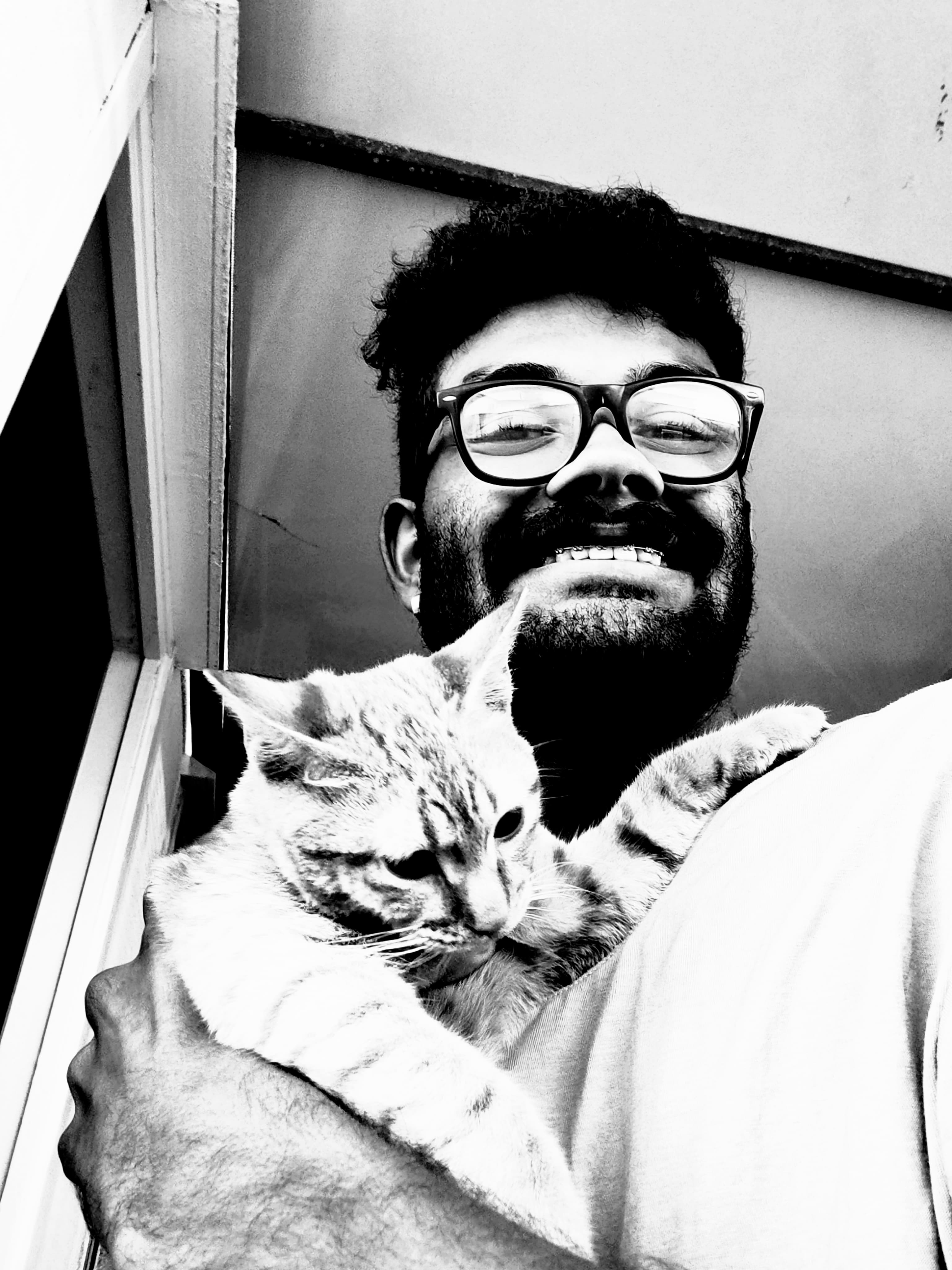 never gonna give u up